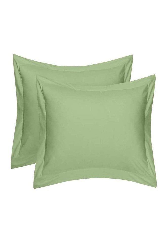 SEM B GRA Oxford Pillow Cover Set of 1 Cotton (455 TC) with Zipper Closure,(20 x 30 Inches, Sage Green, 1 Piece,Cotton,Zip Closure) - Image 1