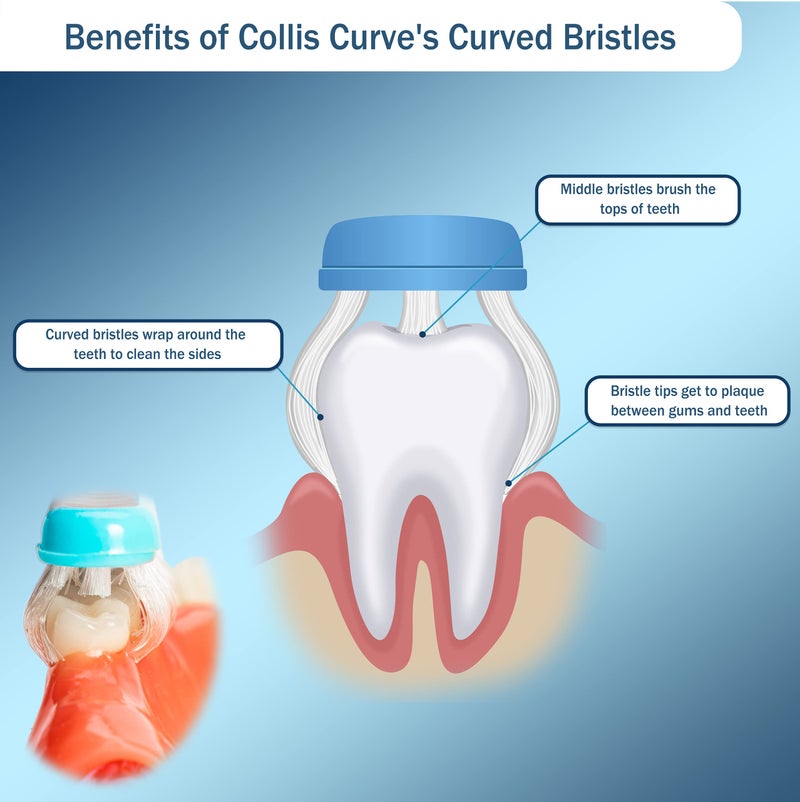 Collis Curve - Soft 3 Sided Toothbrush - Orthodontic Toothbrushes - Soft Bristle Toothbrush for Sensitive Gums, Bleeding Gums, Braces, Autistic, Adults and Children's Over 13 Years (Pack 4) - Image 3