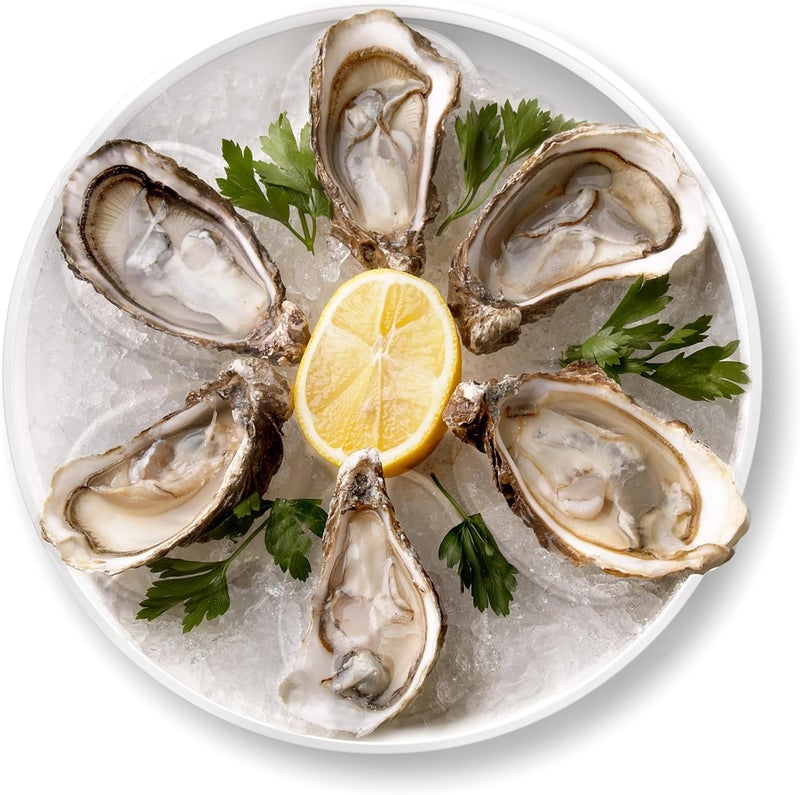 Outset Oyster Serving Tray, 6 Slots and Condiment Cup, Melamine - Image 3