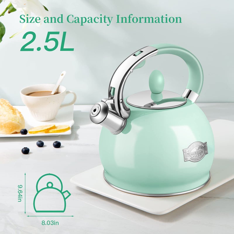 RETTBERG Tea Kettle for Stovetop Whistling Tea Kettles Retro Black Stainless Steel Teapots, 2.64 Quart (Cream) - Image 5