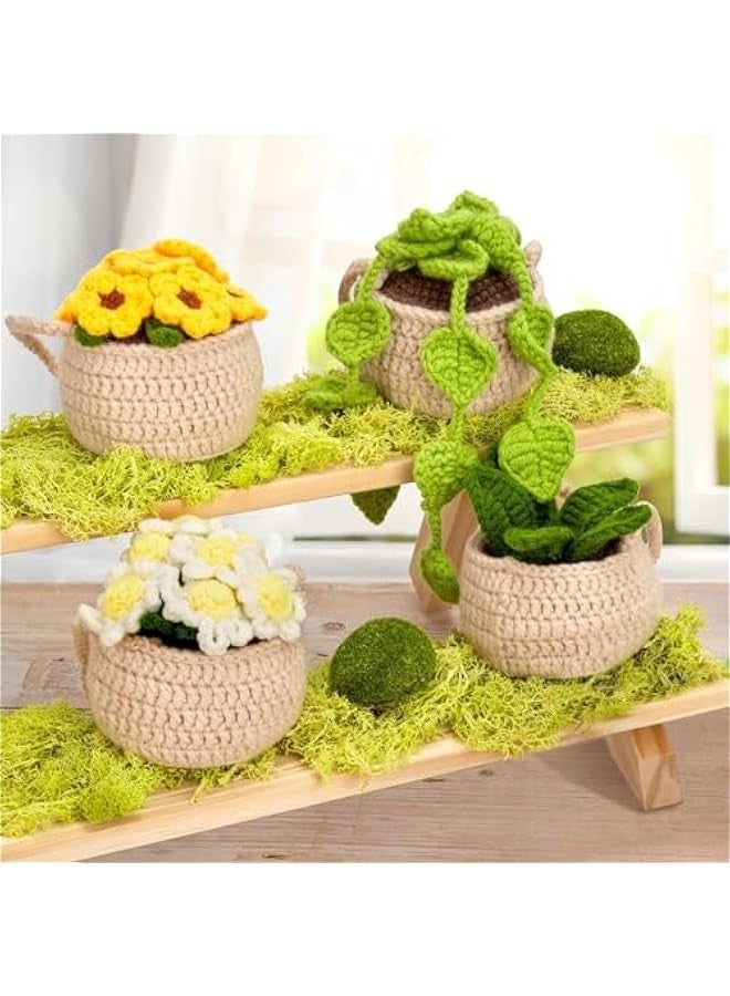TRASSLE Crochet Kit for Beginners, Crochet Starter Kits for Adults and Kids Amigurumi Craft Knitting Crochet Kits Gift with Step-by-Step Video Tutorials, 4 Pack Hanging Potted Plants Family  - Image 4