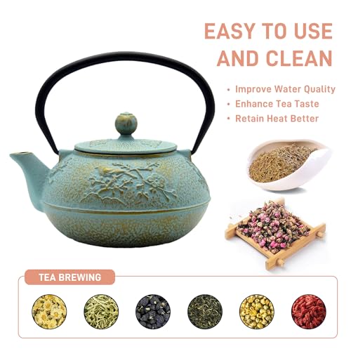 SECHUDO 30.4oz Small Cast Iron Tea Kettle,SECHUDO Tea Pot Coated with Enameled Interior for Loose Tea, Cute Cast Iron Teapot with Stainless Steel Infuser for Stovetop Safe (900ml) - Image 4