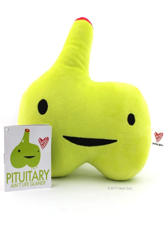 I Heart Guts Pituitary Gland Plush - Ain't Life Gland? - 10.5" Gift for Endocrinology, Cushing's, Get Well, Stuffed Plushy - Image 2