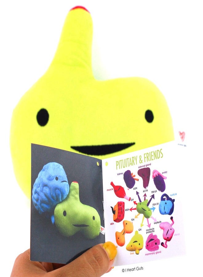 I Heart Guts Pituitary Gland Plush - Ain't Life Gland? - 10.5" Gift for Endocrinology, Cushing's, Get Well, Stuffed Plushy - Image 5