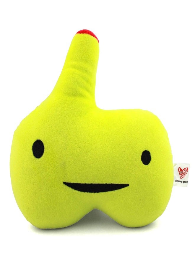 I Heart Guts Pituitary Gland Plush - Ain't Life Gland? - 10.5" Gift for Endocrinology, Cushing's, Get Well, Stuffed Plushy - Image 1
