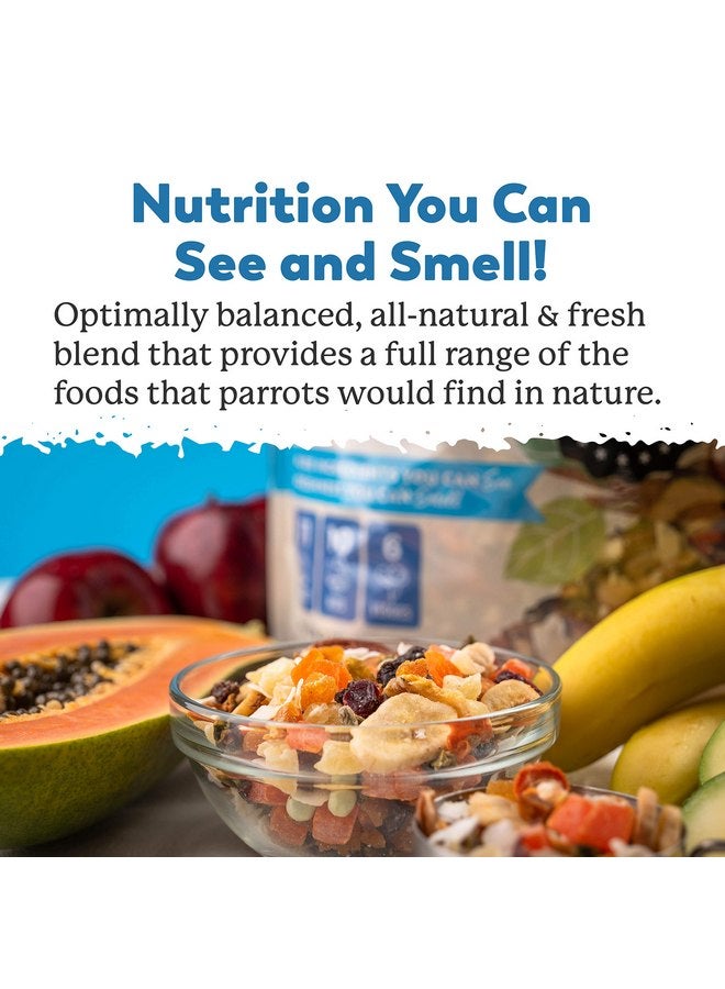 دي آر. هارفي مزيج دكتور هارفي الغريب للببغاوات، مزيج خالٍ من البذور من الطعام الطبيعي للببغاوات الكبيرة - Image 3