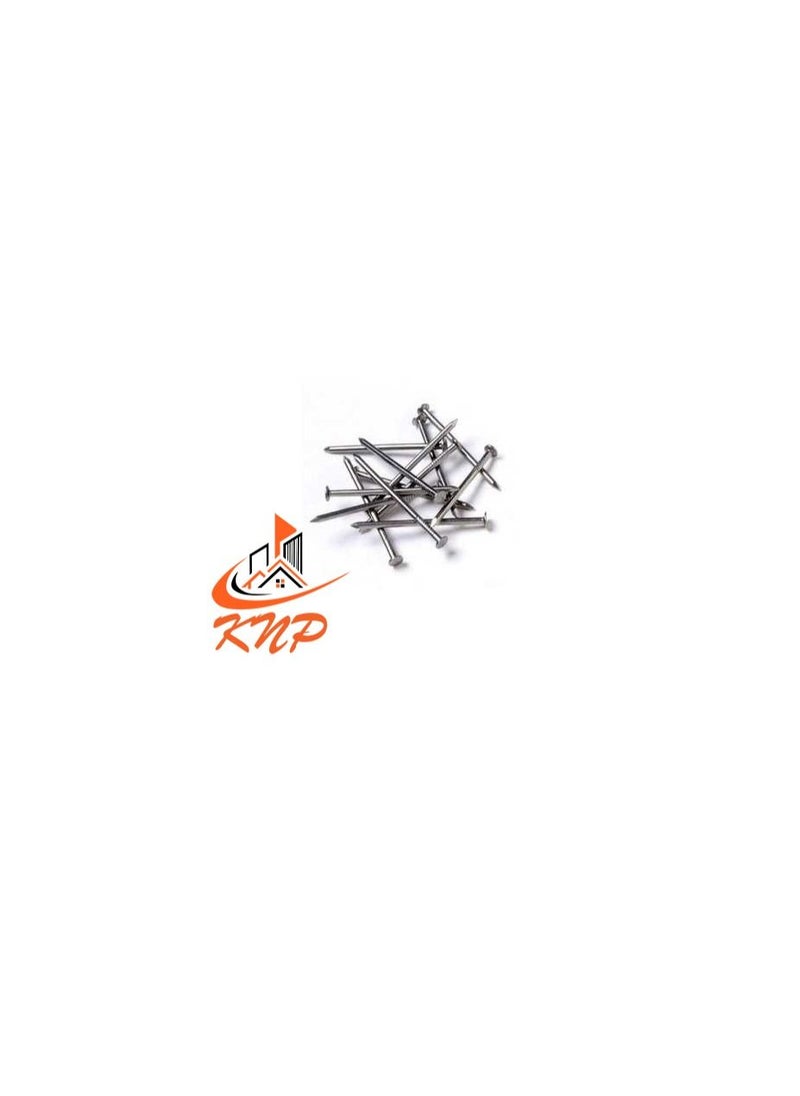 KNP KNP Common Wire Nail 25mm (1") 120grams  - Image 2