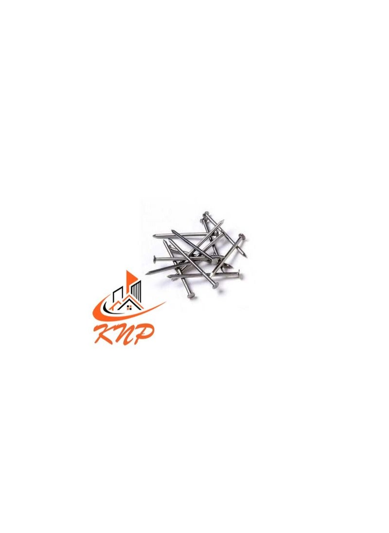 KNP KNP Common Wire Nail 25mm (1") 120grams  - Image 1