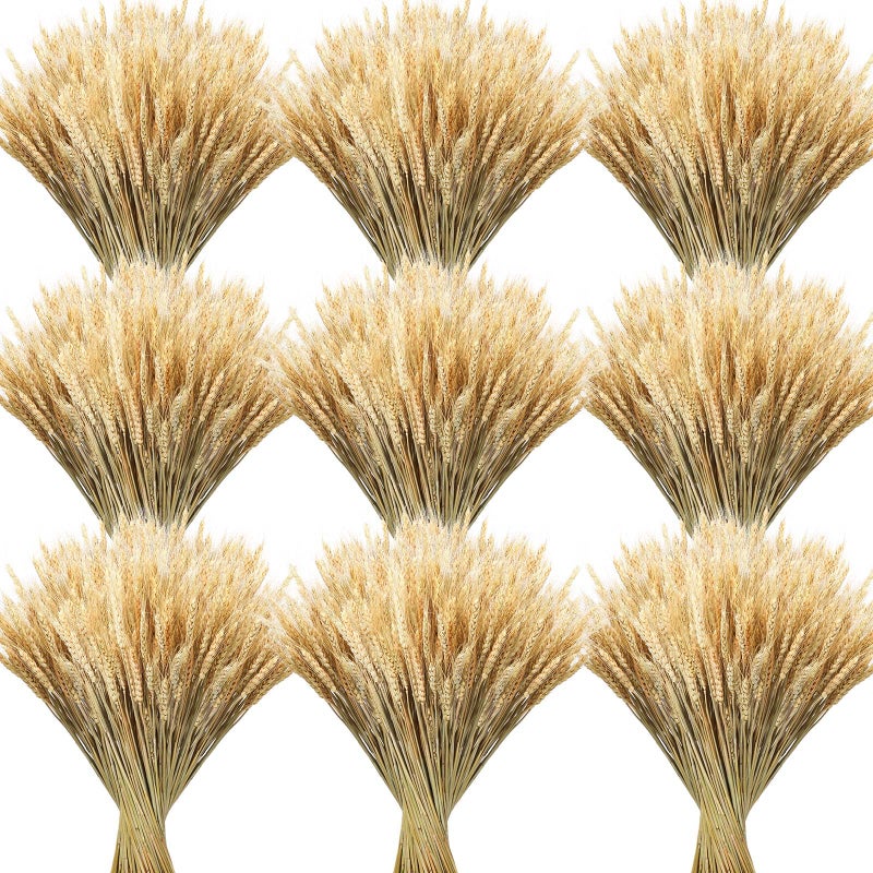 Geosar Geosar 600 Stems Dried Wheat Stalks for Decor Natural Wheat Grass Sheaves Bundle Farmhouse Artificial Flowers Arrangement for DIY Wedding Table Home Centerpieces Party Decorative 16 Inch 