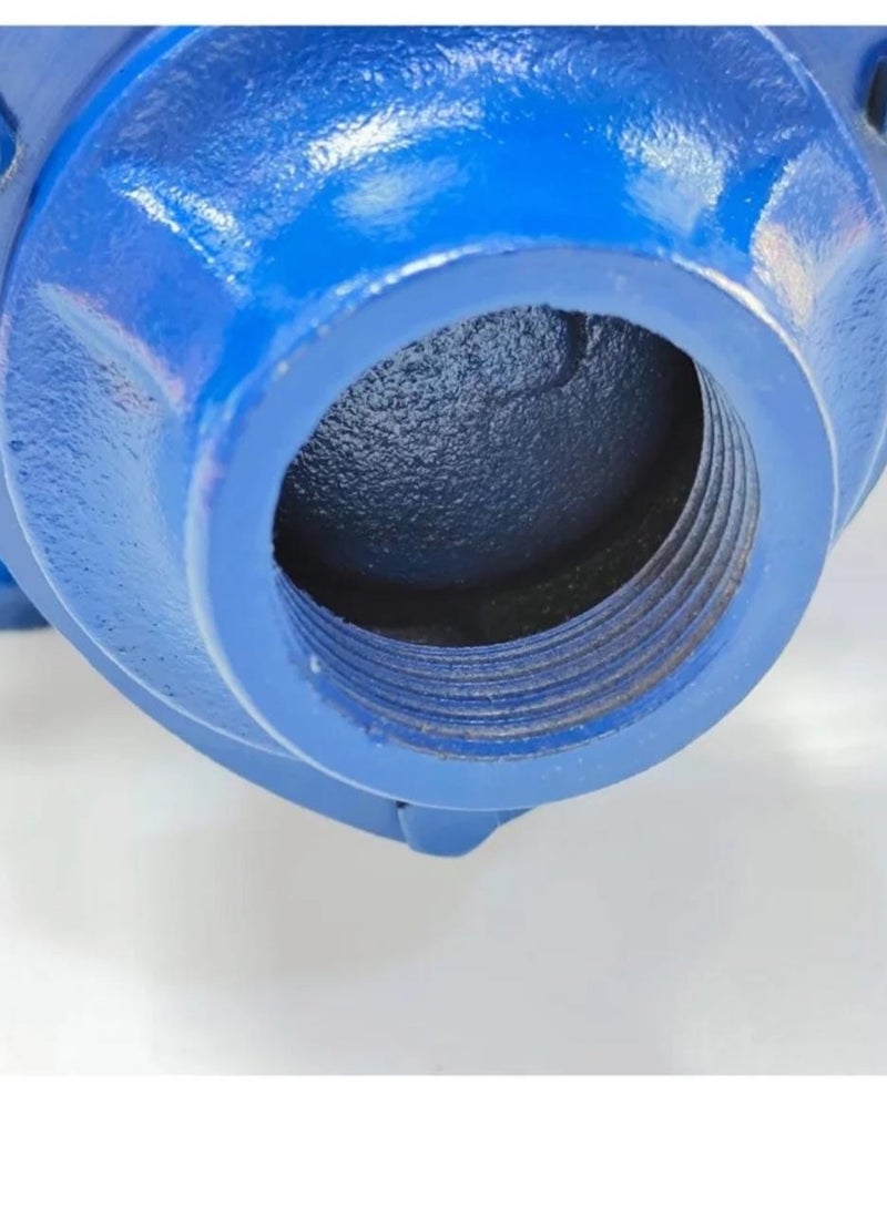 Generic Heavy Duty Water Pump | Copper Winding | 8m Suction | Rust-Proof Design  - Image 2