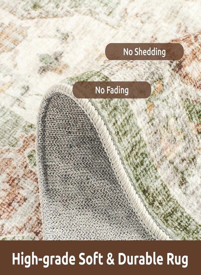 AMOAMI سجادة أموامي - مقاس 5×7، مناسبة لغرفة المعيشة - سجادة خضراء ناعمة بتصميم كلاسيكي لغرفة النوم - سجادة مانعة للانزلاق - سجادة قابلة للغسل في الغسالة، مناسبة لغرفة الطعام، غرفة المعيشة، غرفة النوم، المكتب، وتحت الطاولة - Image 3