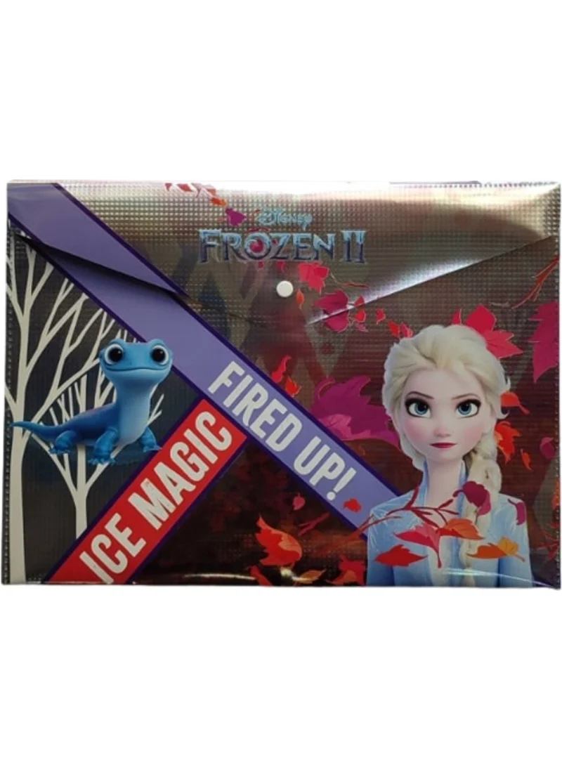 Frocx Frozen Snap File Homework File A4 Size
