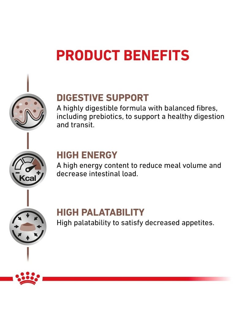 Royal Canin Gastrointestinal Dry Cat Food – Complete Diet for Digestive Health, Diarrhea, IBD, and Post-Surgery Recovery 400Gm