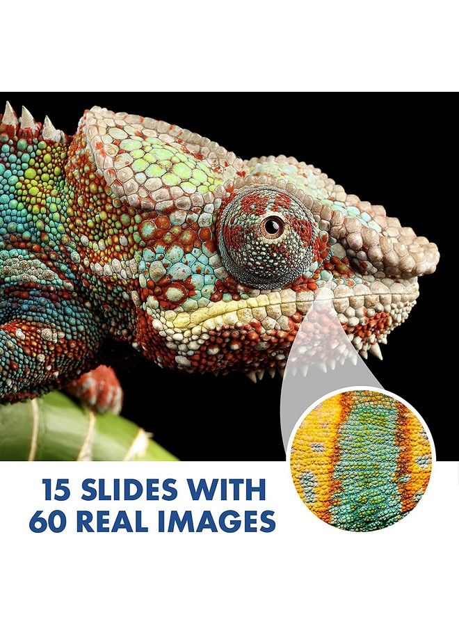 Educational Insights Geosafari Jr. Kidscope Kids Microscope Stem Toy Gift For Boys & Girls Ages 5+ - Image 5