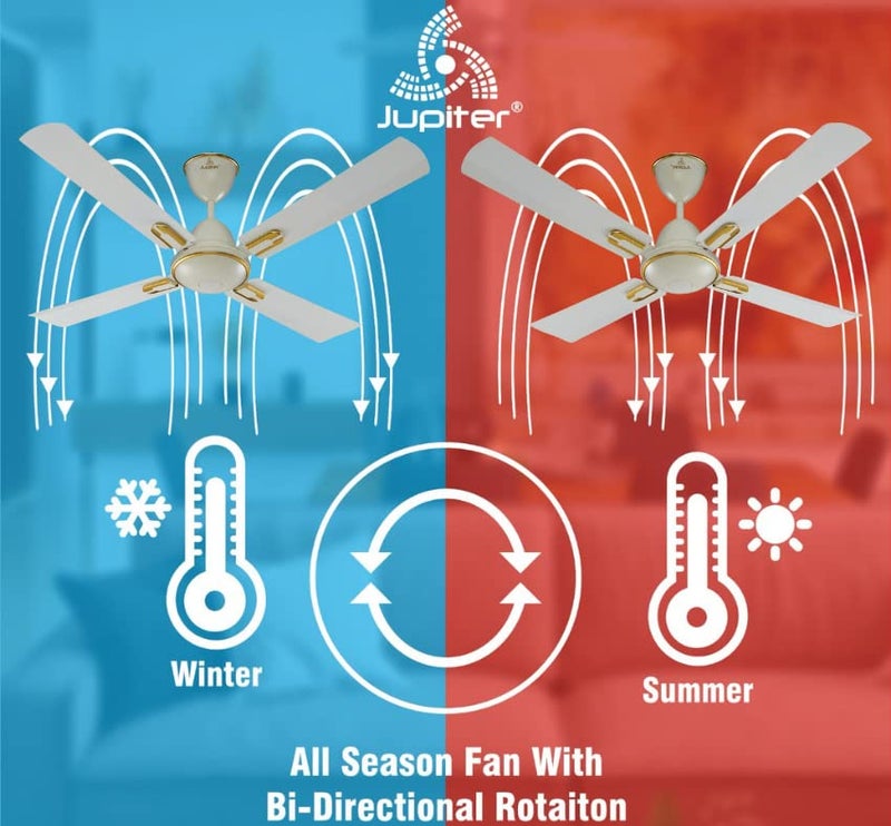 Jupiter Air-Ryder 4 Blades BLDC Motor 1050 mm | Energy Efficient 5 Star Energy Saver | High Speed Decorative Ceiling Fan Remote Controlled | Royal Ivory - Image 3