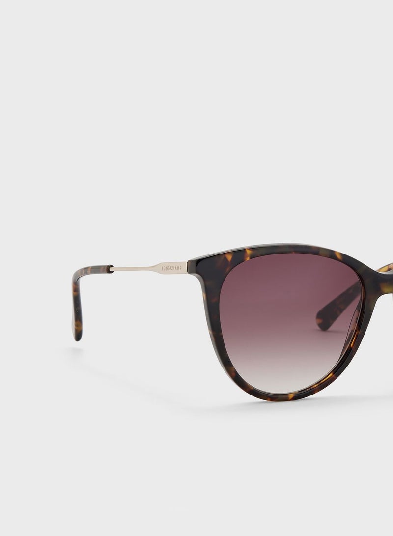 لونج شامب نظارة شمسية وايفارير - Image 4