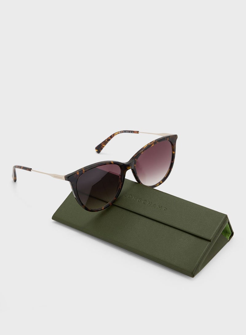 لونج شامب نظارة شمسية وايفارير - Image 5