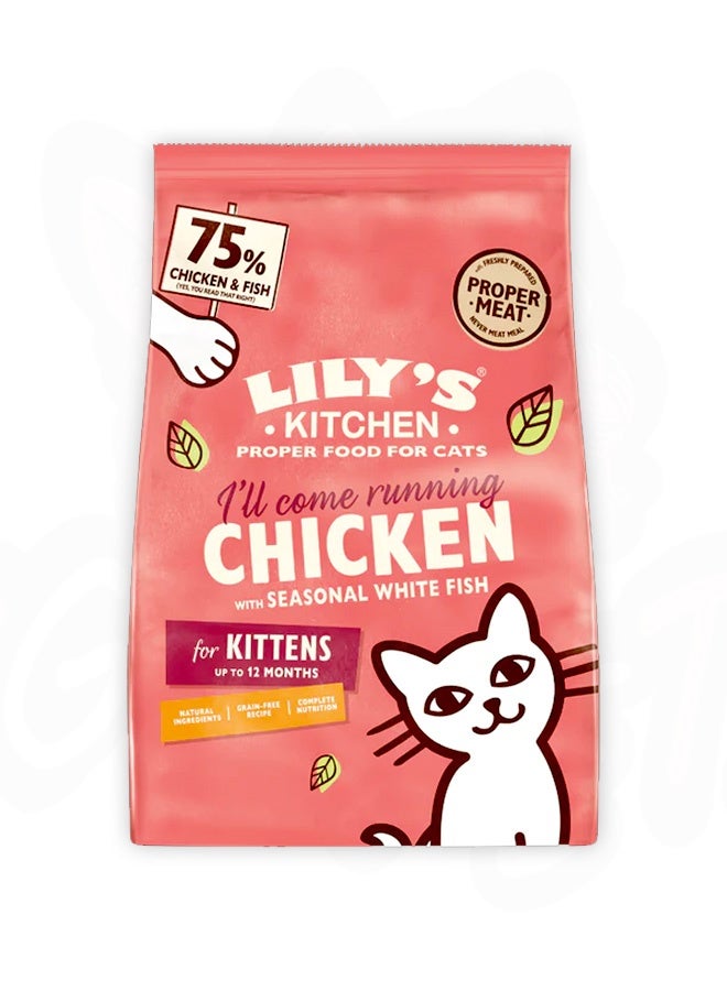 Lily's Kitchen Chicken And White Fish Kitten Dry Cat Food - 800G - Image 1