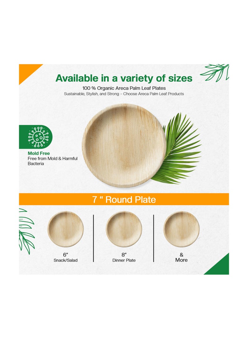 EcoEdge 7 Inch Round Areca Palm Leaf Disposable Plates (Pack of 10) | Environmentally safe, Chemical Free, Recyclable, Biodegradable, Disposable | Elegantly Sustainable | 100% Plant Based - Image 5