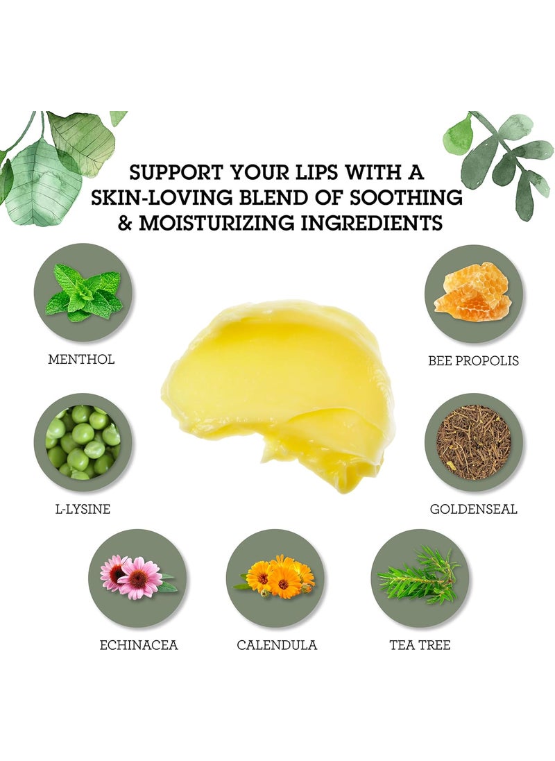 Quantum Quantum Health Lip Clear Lysine Cold Sore Treatment Soothe  Moisturize Mouth Sores  LLysine Menthol Calendula  Propolis Ointment  Transparent Fever Blister Healing Balm  025 Oz  - Image 3
