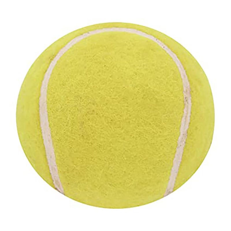 omtex Swing Ball (Half Tennis) Cricket Training Ball Size 5.5. Diameter 2.5 cms - Image 3