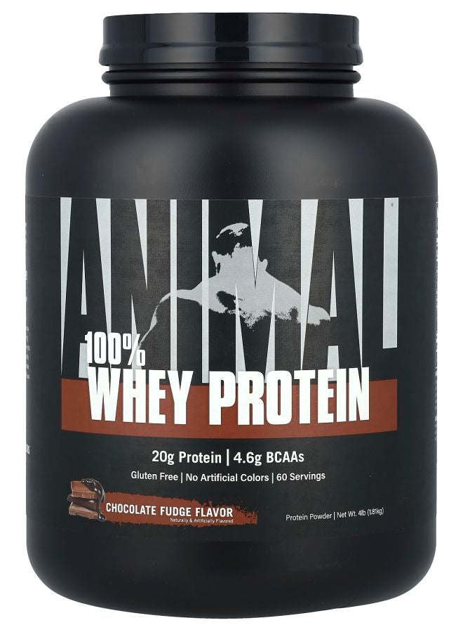 ANIMAL مسحوق بروتين مصل اللبن 100% بنكهة الشوكولاتة 4 رطل (1.81 كجم)
