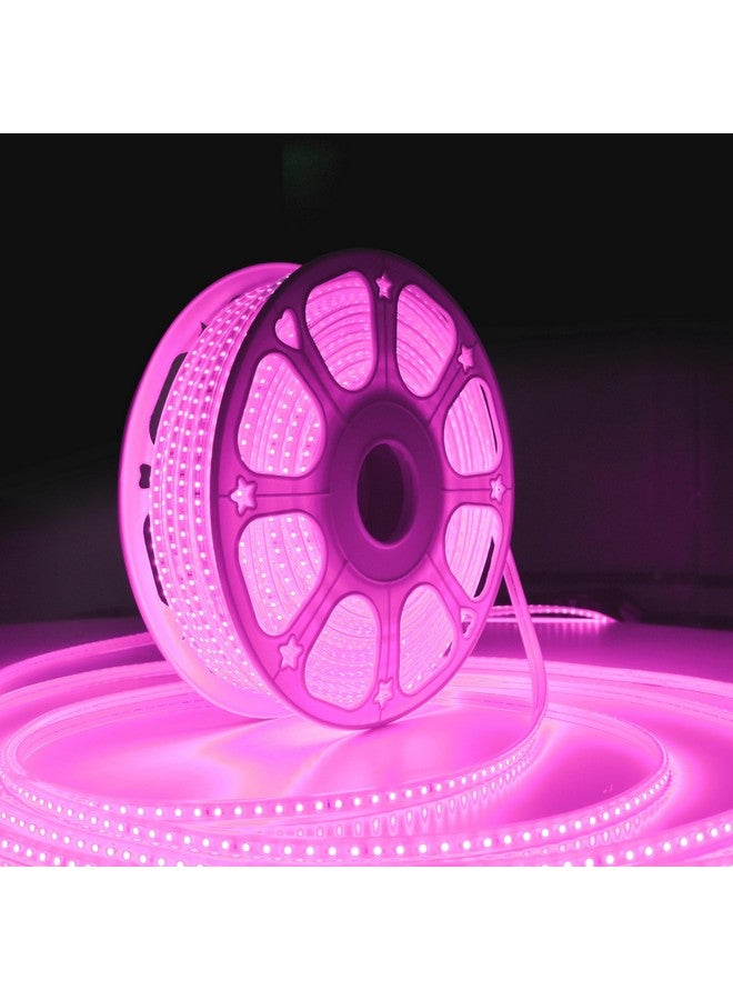 Forus LED Rope Light 5 Meter 2 Year Warranty, Outdoor Waterproof Decorative Cove Lights for Ceiling, Balcony, Home Decor, Interior Decoration, Flexible Profile Light for Diwali, Christmas -Pink - Image 1