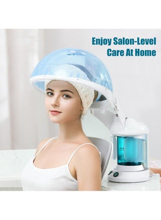 Facial Atomizer, 2-In-1 Hair And Facial Steamer Face Steamer, Humidifier, Professional Hair And Facial Salon Steamer Machine, for Spa Salon Esthetician Or Home Use - pzsku/Z51B9FBC1DA4C9841BAA3Z/45/_/1651679665/e90d669a-ef34-4876-9449-47fba5da1b6d