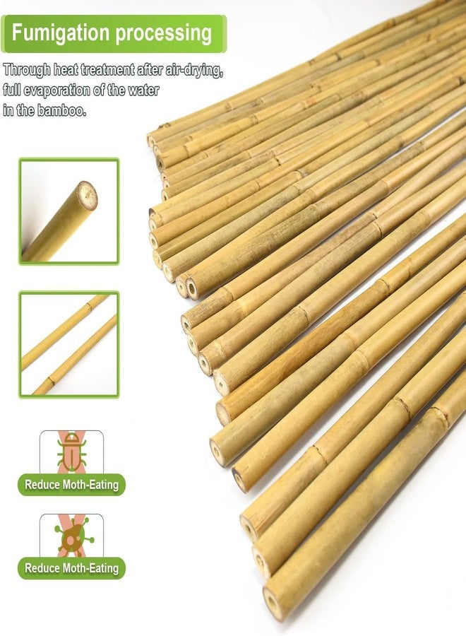 Jollybower 25pcs 7/20" D Thicker Heavy Duty Bamboo Stakes, 3FT Plant Stakes, Natural Garden Stakes for Tomato, Bean, Flowers,Trees Potted and Climbing Plant Support - Image 3