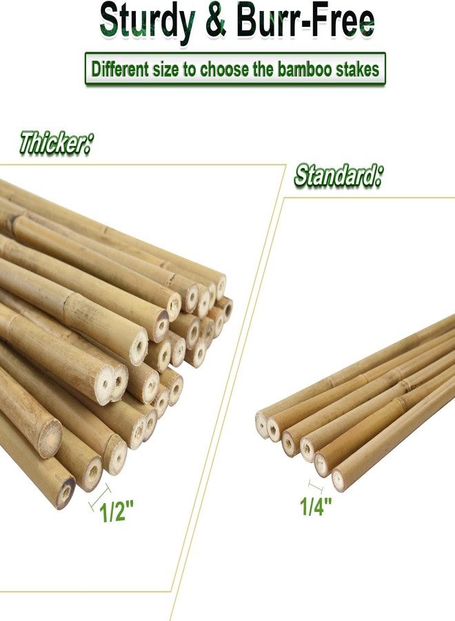 Jollybower 25pcs 7/20" D Thicker Heavy Duty Bamboo Stakes, 3FT Plant Stakes, Natural Garden Stakes for Tomato, Bean, Flowers,Trees Potted and Climbing Plant Support - Image 5