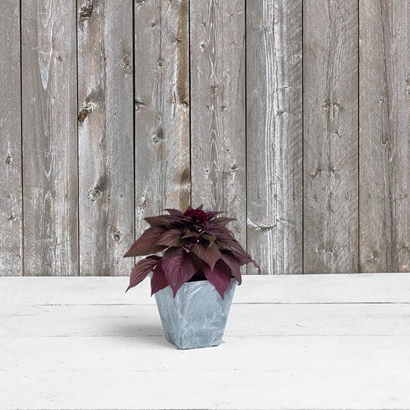 Novelty ARTSTONE 6" GRY SQ ELLA PLANTER - Image 2