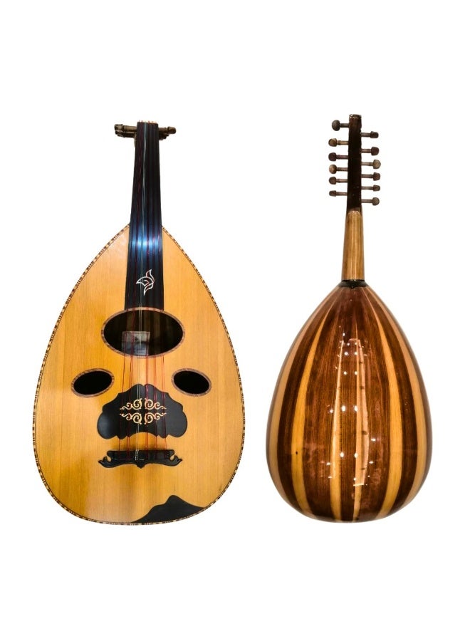 موسيقى الكرز عود موسيقي زرياب عراقي رقم 1 وجه سيدار وظهر سنديان مع أوتار أكويلا