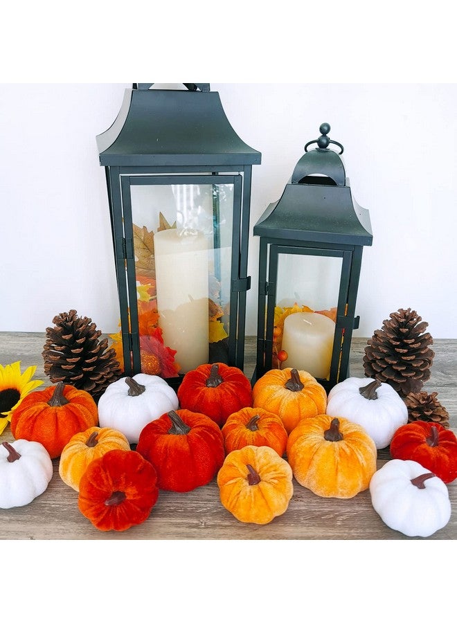 Winlyn Set of 16 Assorted Faux Small Rustic Harvest Decorative Pumpkins Velvet Fabric Foam Pumpkins in Rust Orange White for Farmhouse Fall Wedding Thanksgiving Centerpiece Table Mantel Décor - Image 5