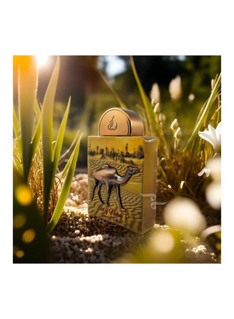 لطافة فن الطبيعة 1 - عطر للجنسين 100 مل - Image 4