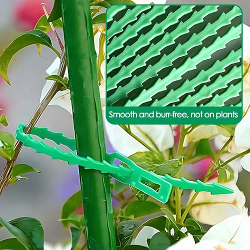 Sunkizzrs® Plant Ties Strap (100-Pcs x 17cm)—Reusable, Adjustable, Gentle Plant Support Ties for Effective Growing—Multi-Use Support Tie Tape for Gardening, Wire Organizer, Cable Management (Plastic) - Image 5