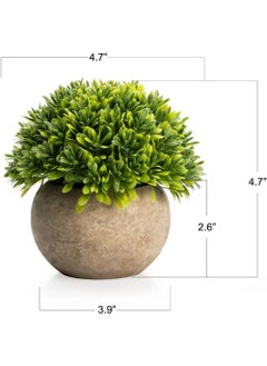 Rock Pow Artificial Boxwood Faux Plant Indoor- Topiary Small Desk Plant Decor for Bedroom Office Cubicle Shelf Decor Window Will Plant Shelf Decoration Dorm Kitchen Counter, Farmhouse Home Decor Accent 2pc  - Image 2