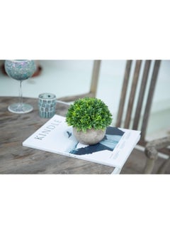 Rock Pow Artificial Boxwood Faux Plant Indoor- Topiary Small Desk Plant Decor for Bedroom Office Cubicle Shelf Decor Window Will Plant Shelf Decoration Dorm Kitchen Counter, Farmhouse Home Decor Accent 2pc  - Image 3