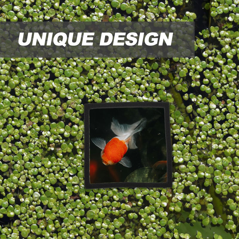 10 Pcs Aquarium Floating Plant Floating Plant Fish Feeding - Image 3