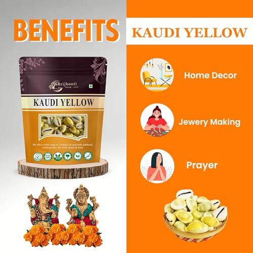 BrijBooti Natural Pili Kaudi - Yellow Kaudi - Yellow Kawri - Kodi - Peeli Cowrie - Laxmi and Diwali Puja Article (108 Pieces) - Image 2