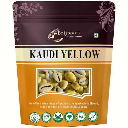 BrijBooti Natural Pili Kaudi - Yellow Kaudi - Yellow Kawri - Kodi - Peeli Cowrie - Laxmi and Diwali Puja Article (108 Pieces) - Image 1