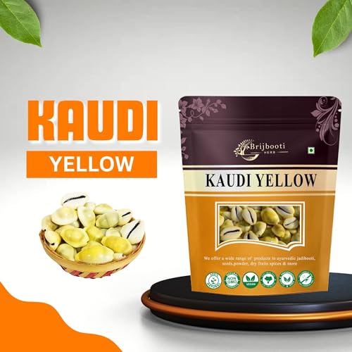 BrijBooti Natural Pili Kaudi - Yellow Kaudi - Yellow Kawri - Kodi - Peeli Cowrie - Laxmi and Diwali Puja Article (108 Pieces) - Image 5