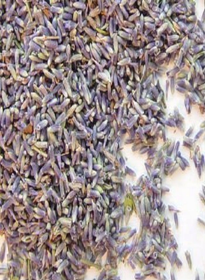 Lavender Flower Buds #1 - Uses - Culinary & Crafting - 2oz Bag