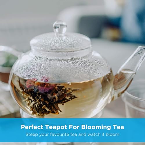 GROSCHE MONACO 42 oz Glass Tea pot with glass tea Infuser 1250 ml Capacity. Heatproof borosilicate glass and all glass tea infuser for all types of loose tea tea infusion - Image 3