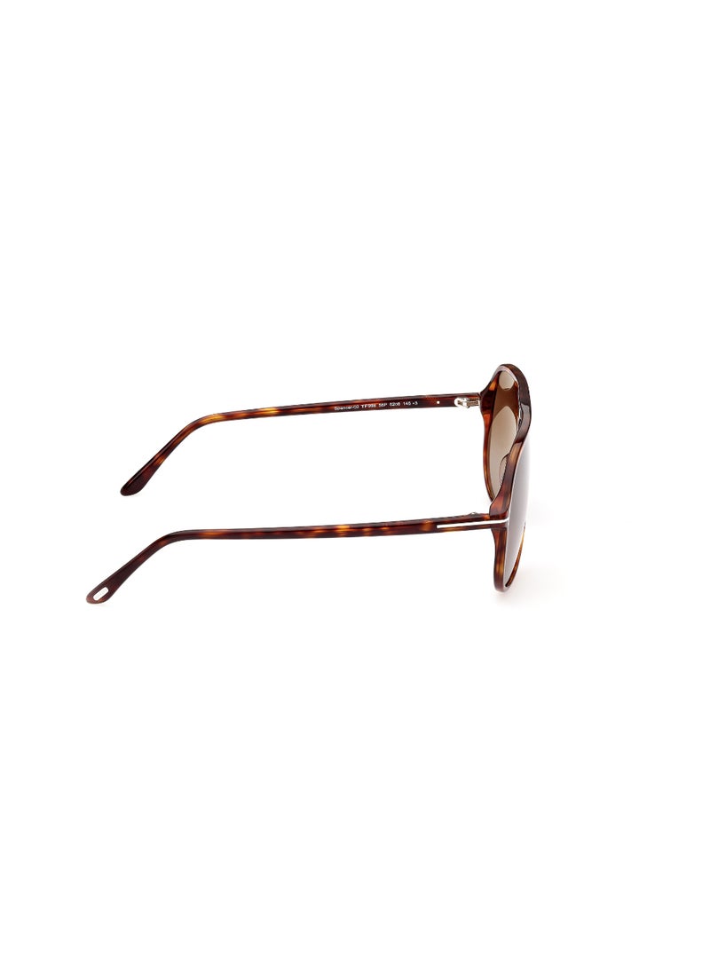 TOM FORD Rimless Acetate Brown Men Sunglass - pzsku/Z51C5C10CED4037E5D2CCZ/45/_/1738942263/41ad3404-c652-4a82-bf45-1da83ccabf6d