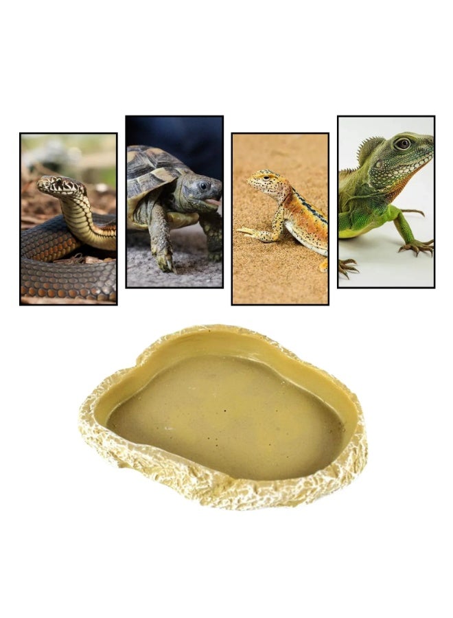NomoyPet وعاء طعام من الراتنج لحوض الزواحف - (11 × 1.7 × 7.5 سم) - Image 5