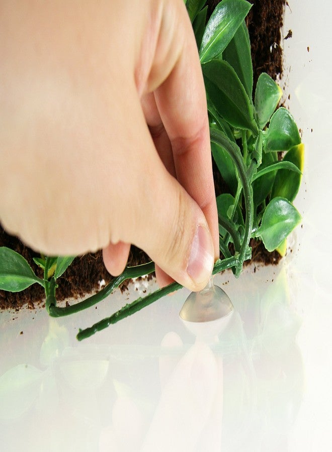 Exo Terra Exo-Terra Plastic Plant Small Amapallo - Image 2