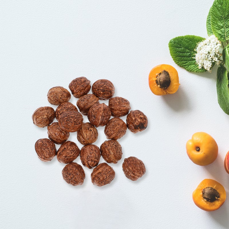 20pcs Artificial Walnut Lifelike Walnut Decoration Fake Dried Fruit Models - Image 2