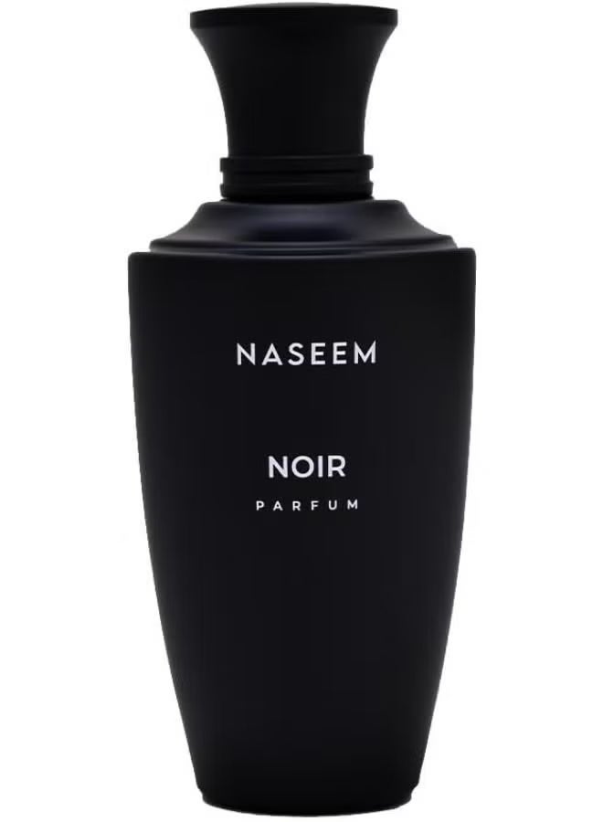 NASEEM Noir Aqua Parfum 100 ML | Luxury Perfume For Men | Prestige Collection | Long-Lasting Refreshing & Elegant Scent | Alcohol-Free Eau De Parfum