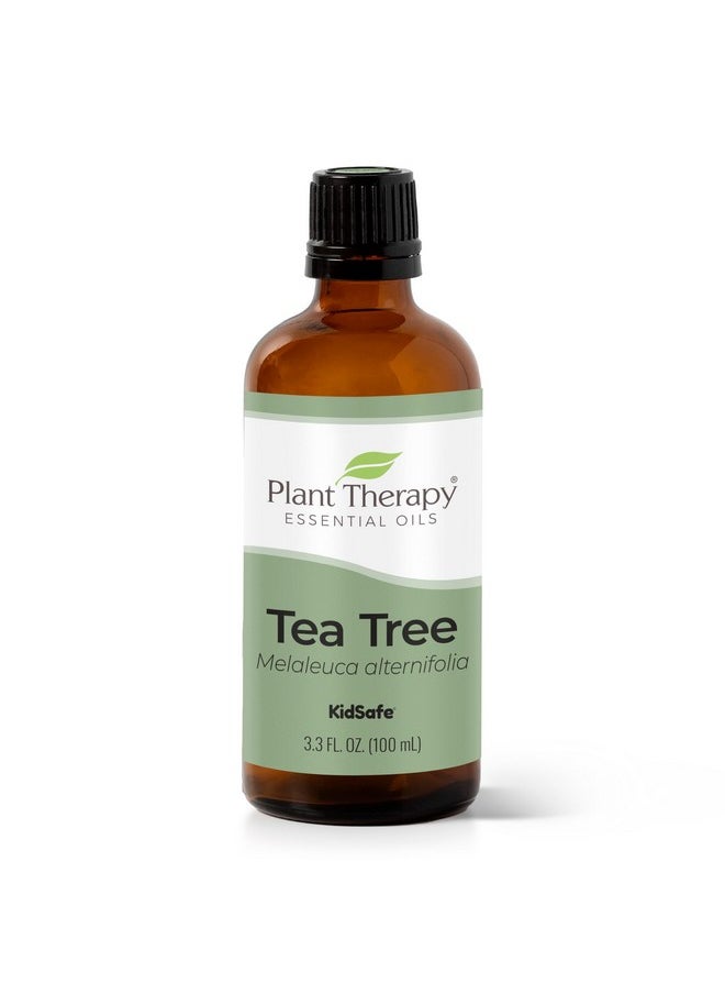 Plant Therapy - Tea Tree Essential Oil 100% Pure, Undiluted, Natural Aromatherapy, Therapeutic Grade 100 Ml (3.3 Oz) - Image 1