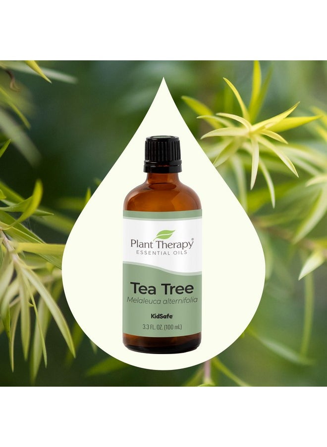 Plant Therapy - Tea Tree Essential Oil 100% Pure, Undiluted, Natural Aromatherapy, Therapeutic Grade 100 Ml (3.3 Oz) - Image 1